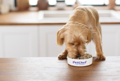 Új fejezet a kutyaeledelek történetében: próbáld ki Te is a PetChefet most kedvezménnyel!