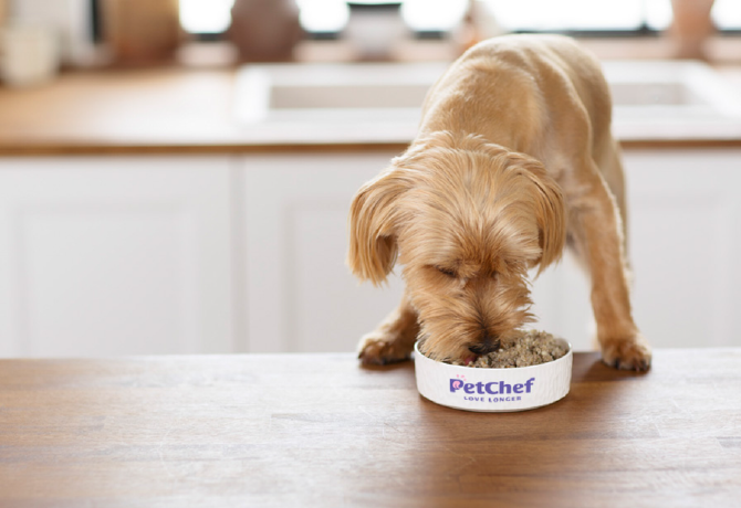 Új fejezet a kutyaeledelek történetében: próbáld ki Te is a PetChefet most kedvezménnyel!