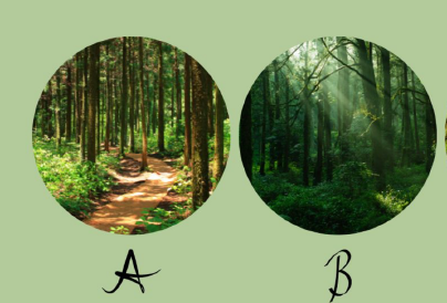 Melyik erdőt választod? Elárulja, mennyire irányítanak az érzelmeid
