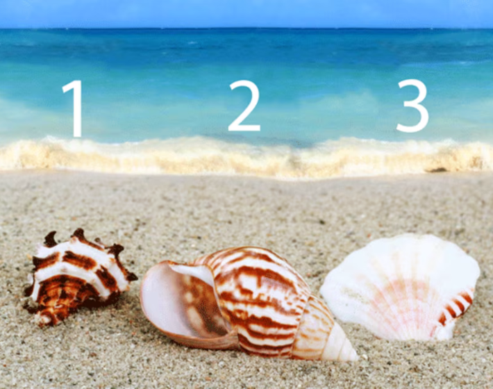 Melyik kagylót választod? Elárulja, mi a gyengeséged mások szerint