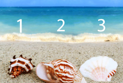 Melyik kagylót választod? Elárulja, mi a gyengeséged mások szerint
