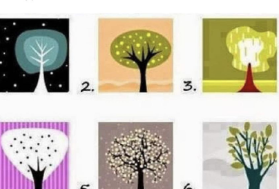 Melyik fát választod? Elárulja a legfontosabb tulajdonságaid 