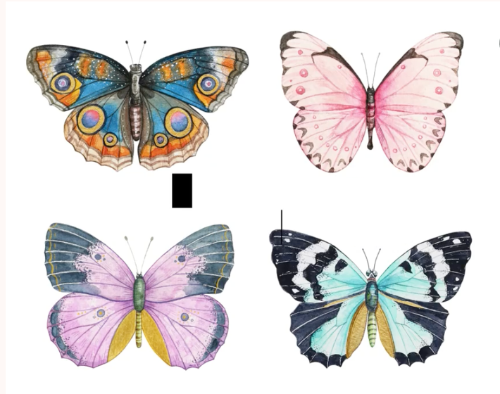 Melyik pillangót választod? Elárulja, melyik oldaladat rejtegeted