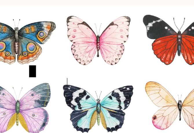 Melyik pillangót választod? Elárulja, melyik oldaladat rejtegeted