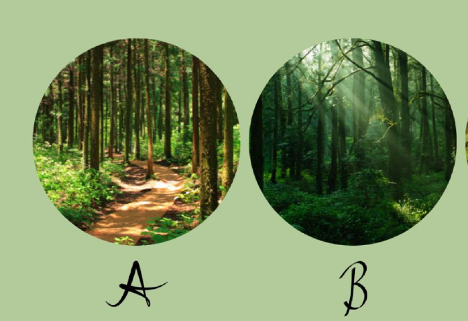 Melyik erdőt választod? Elárulja, hogy mennyire irányítanak az érzelmeid
