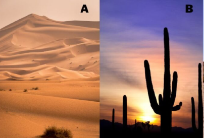 Melyik sivatagot választod? Elárulja a legnagyobb félelmed az életben 