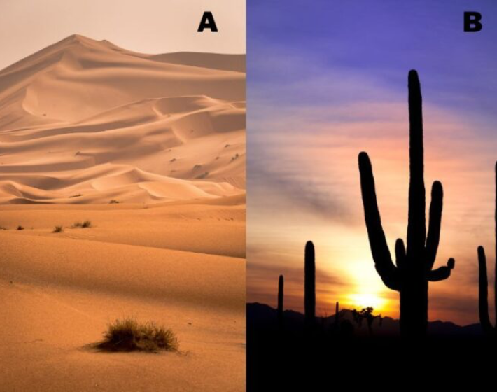 Melyik sivatagot választod? Elárulja a legnagyobb félelmed az életben 