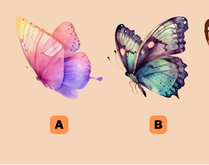 Személyiségteszt: melyik pillangót választod? Megmutatja, mi a rejtett erőd