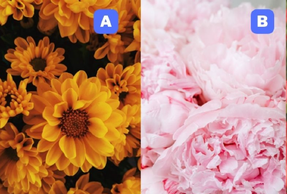 Melyik virágod választod? Elárulja, mennyire vagy türelmes 