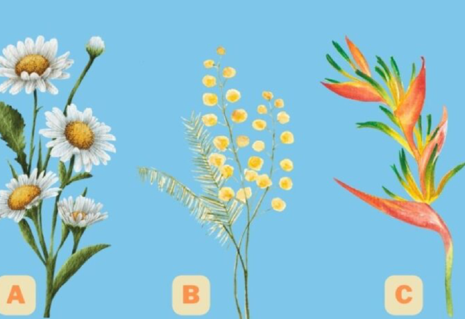 Melyik virágot választod? Felfedi a titkos személyiségjegyeidet